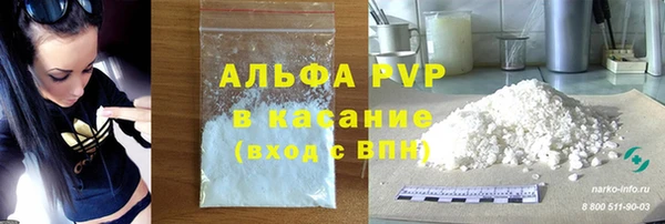 прущие грибы Армянск