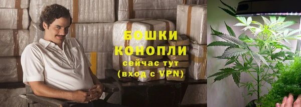 прущие грибы Армянск
