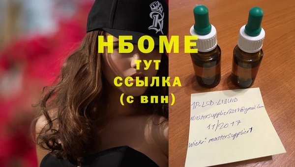 прущие грибы Армянск